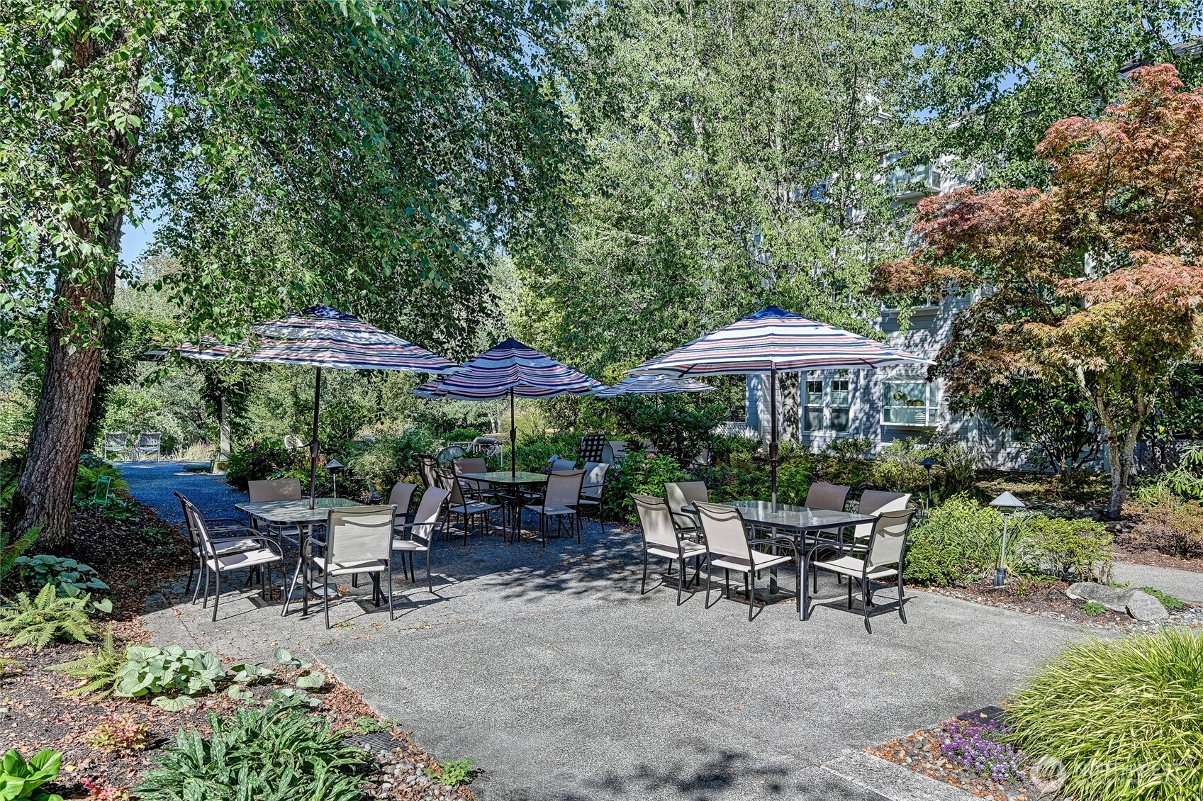 3941 226th Place SE #211, Issaquah, WA 98029