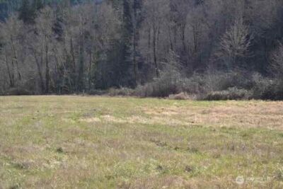 0 US Hwy. 12 , Morton, WA 98356 - Photo 11