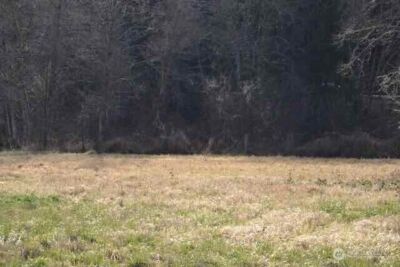 0 US Hwy. 12 , Morton, WA 98356 - Photo 12