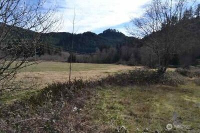 0 US Hwy. 12 , Morton, WA 98356 - Photo 20
