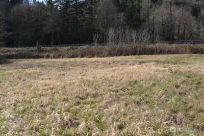 0 US Hwy. 12 , Morton, WA 98356 - Photo 2