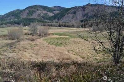 0 US Hwy. 12 , Morton, WA 98356 - Photo 22