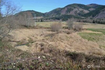 0 US Hwy. 12 , Morton, WA 98356 - Photo 23