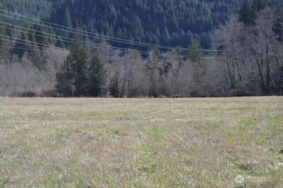 0 US Hwy. 12 , Morton, WA 98356 - Photo 10