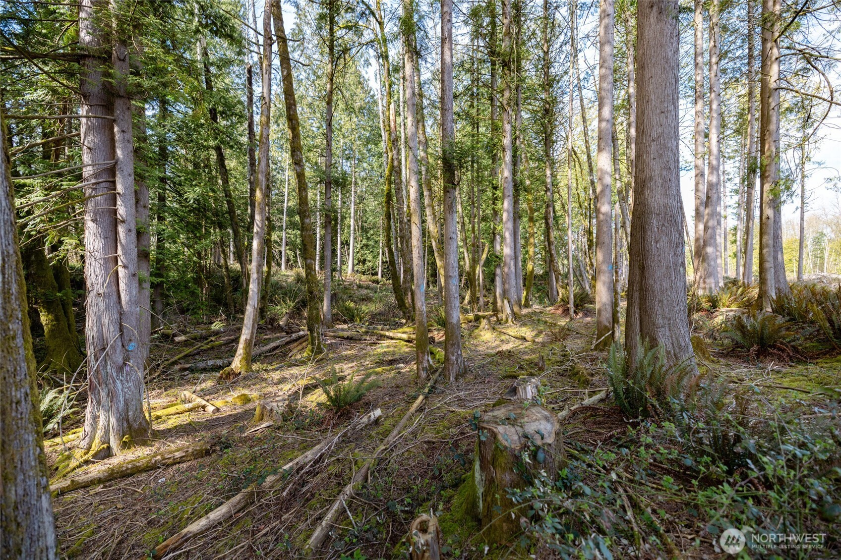 0 NHN H Street Road , Blaine, WA 98230