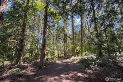 0 Place Road , Port Angeles, WA 98363 - Photo 40