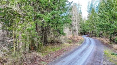 39838 Mountain Park Drive E, Roy, WA 98580
