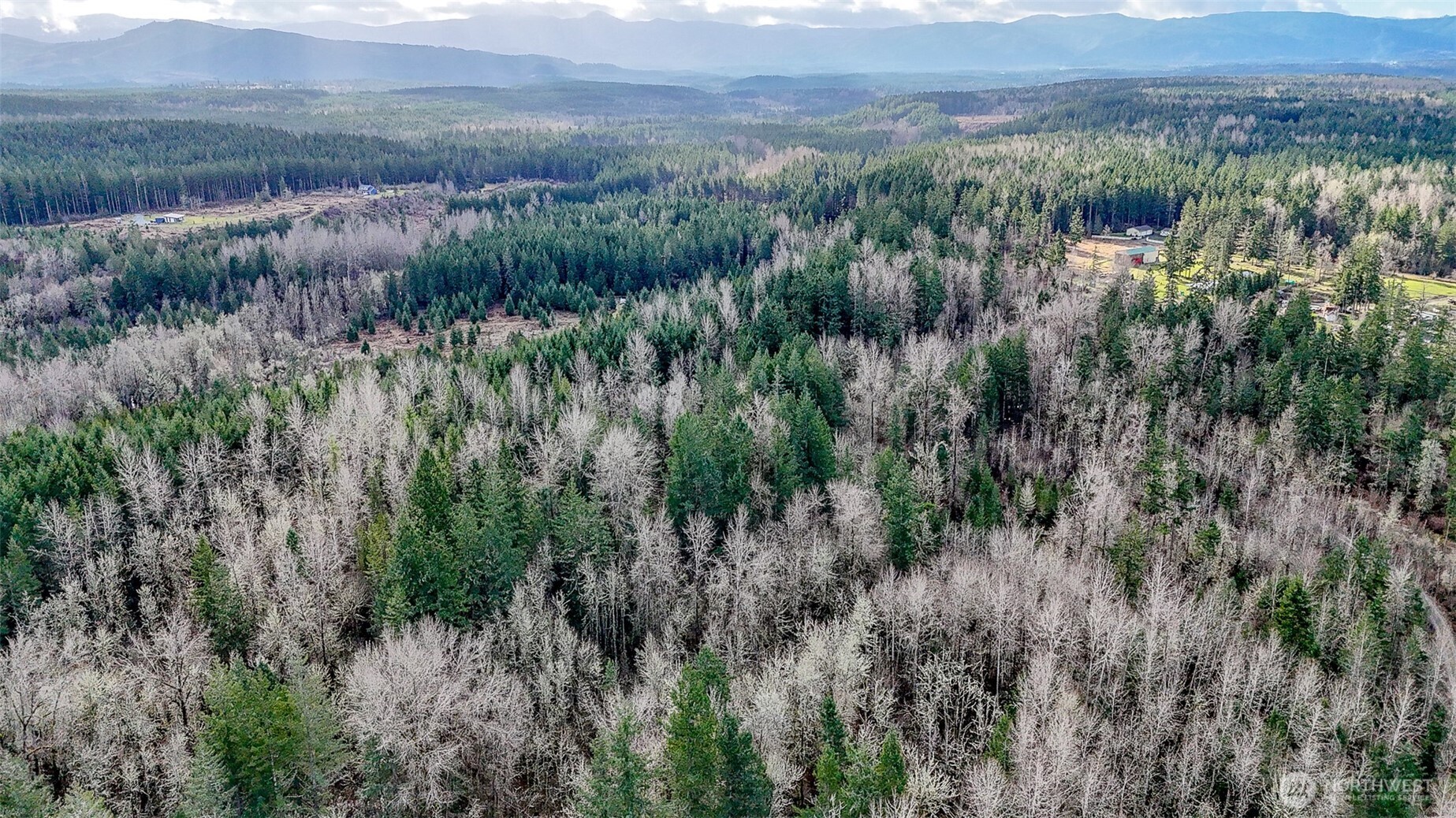 39838 Mountain Park Drive E, Roy, WA 98580