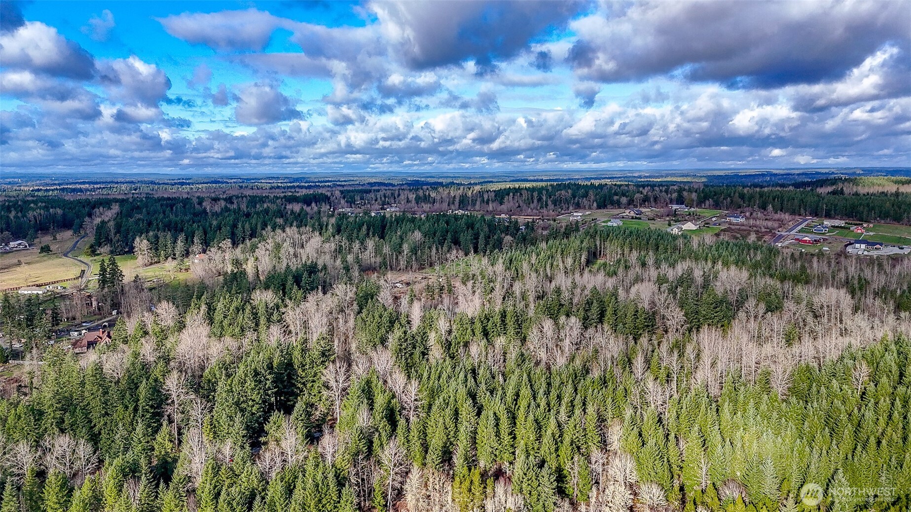 39838 Mountain Park Drive E, Roy, WA 98580