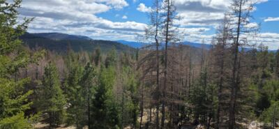 1111 TBD Bandtman Rd , Tonasket, WA 98844