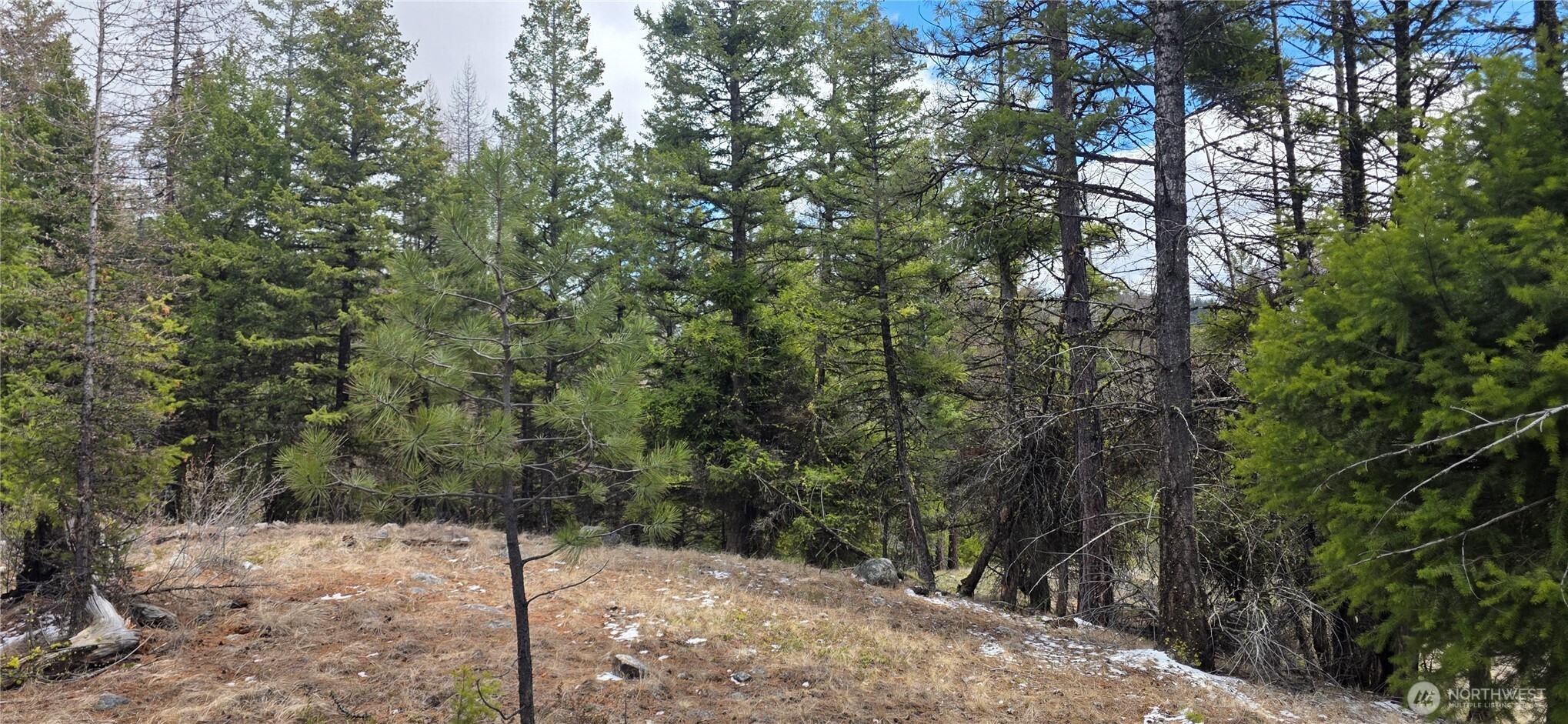 1111 TBD Bandtman Rd , Tonasket, WA 98844