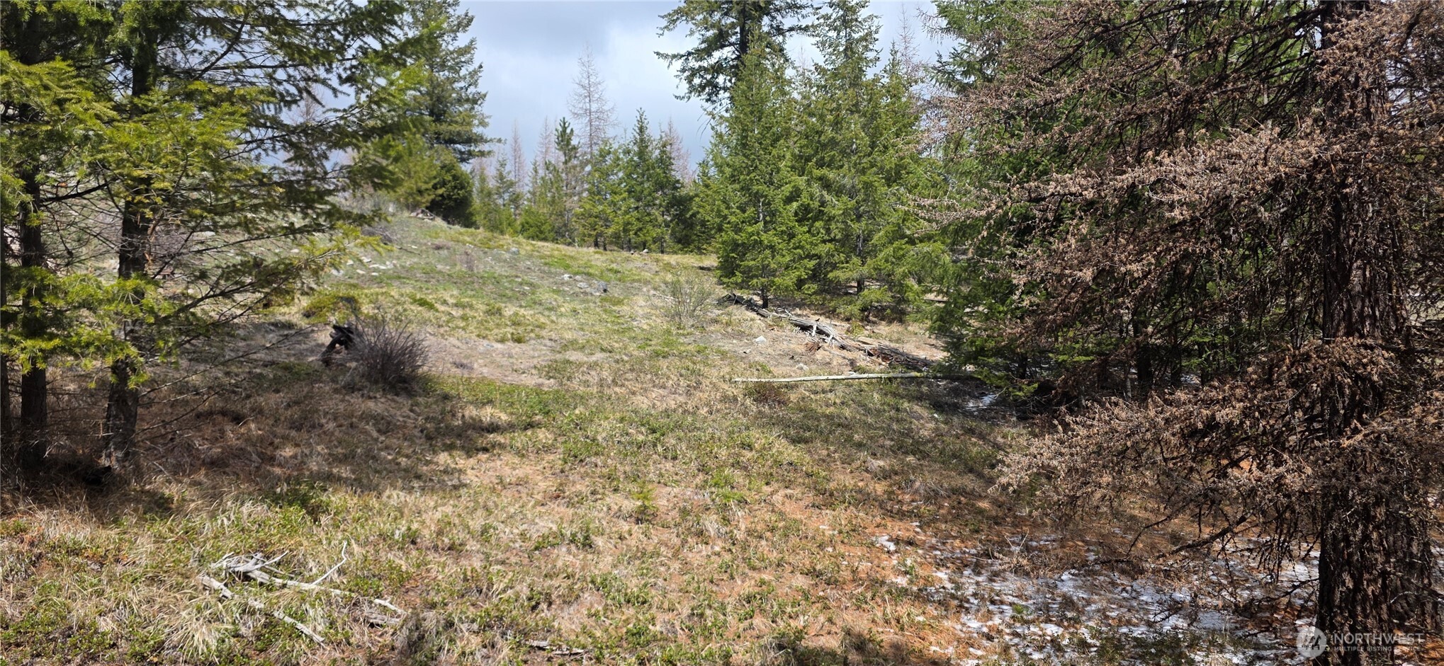 1111 TBD Bandtman Rd , Tonasket, WA 98844