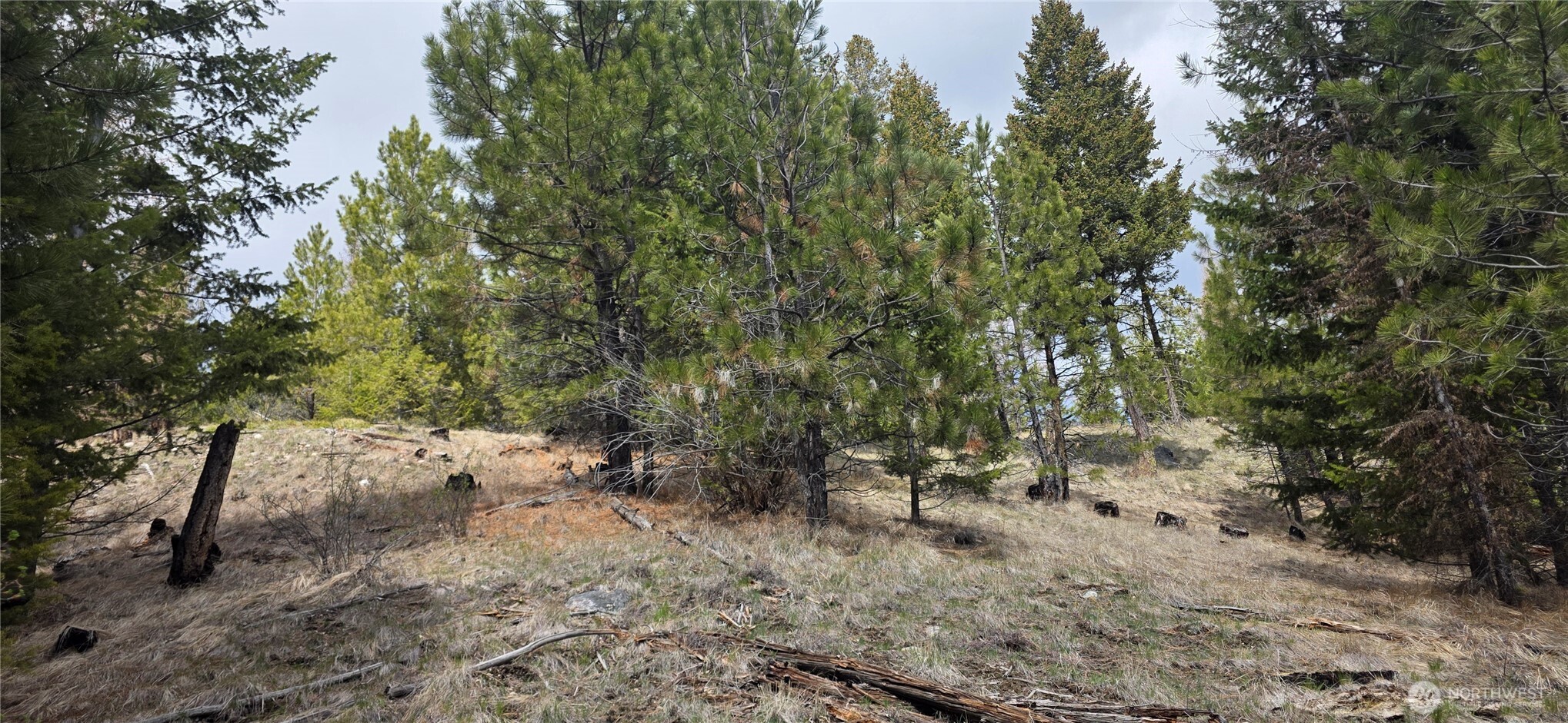 1111 TBD Bandtman Rd , Tonasket, WA 98844