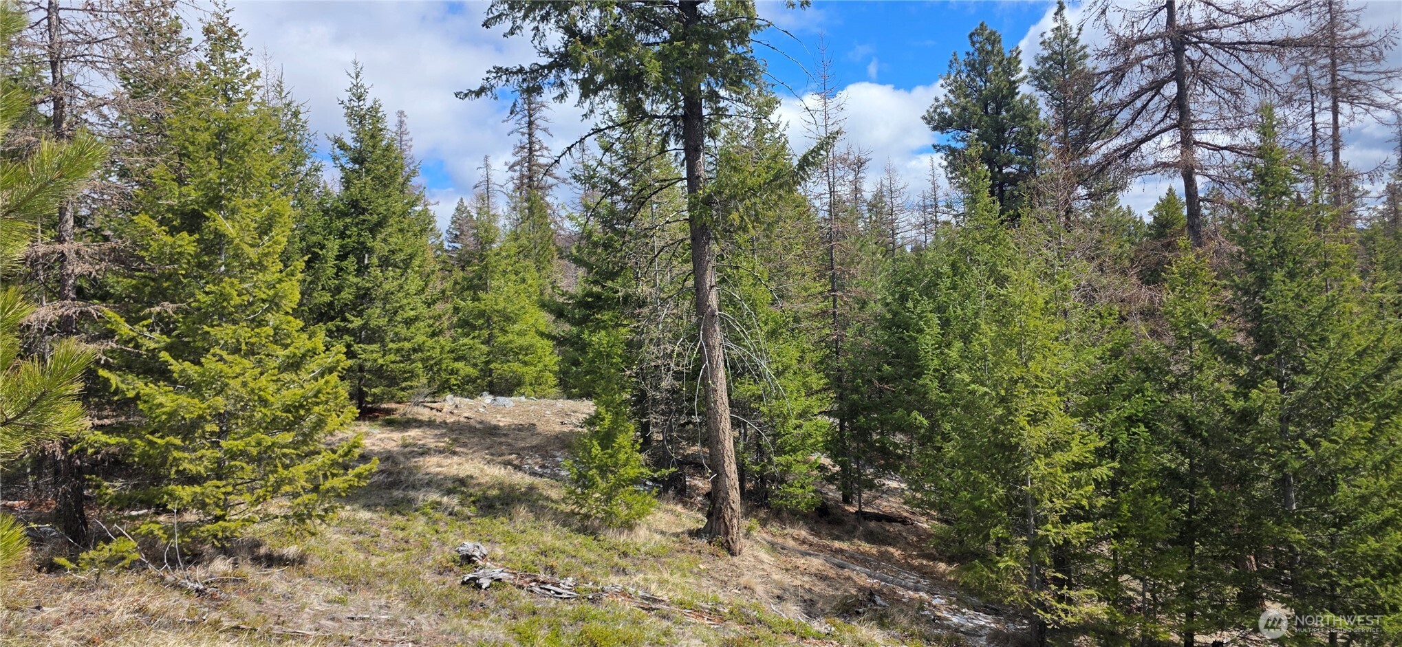 1111 TBD Bandtman Rd , Tonasket, WA 98844