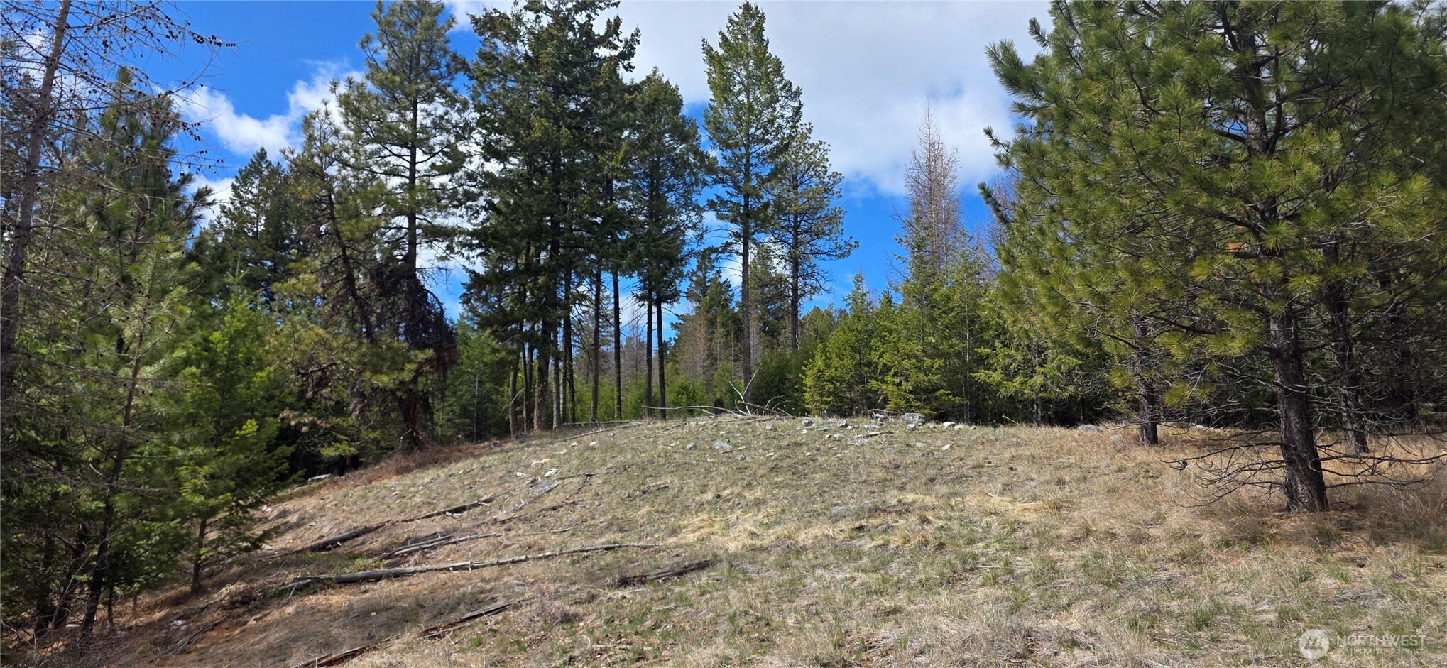 1111 TBD Bandtman Rd , Tonasket, WA 98844