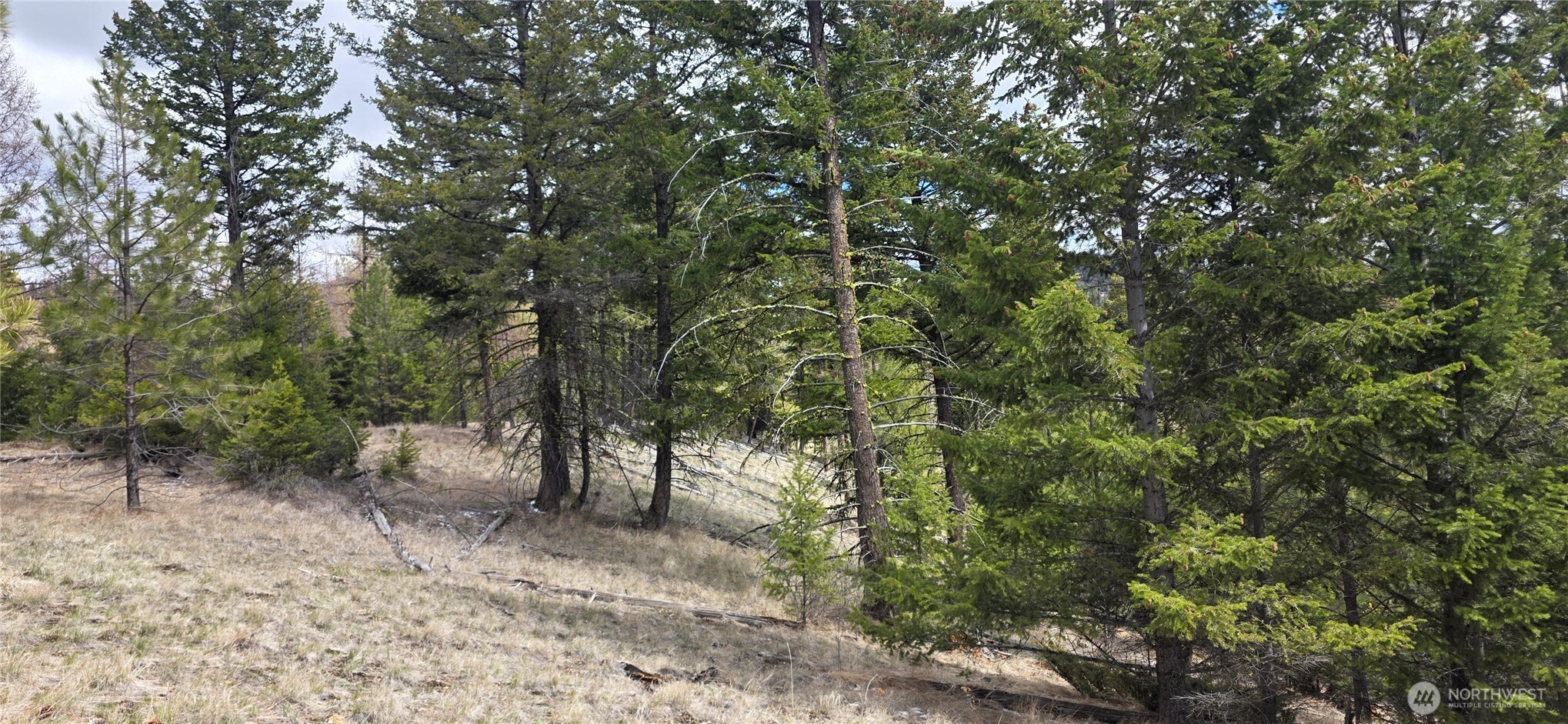 1111 TBD Bandtman Rd , Tonasket, WA 98844