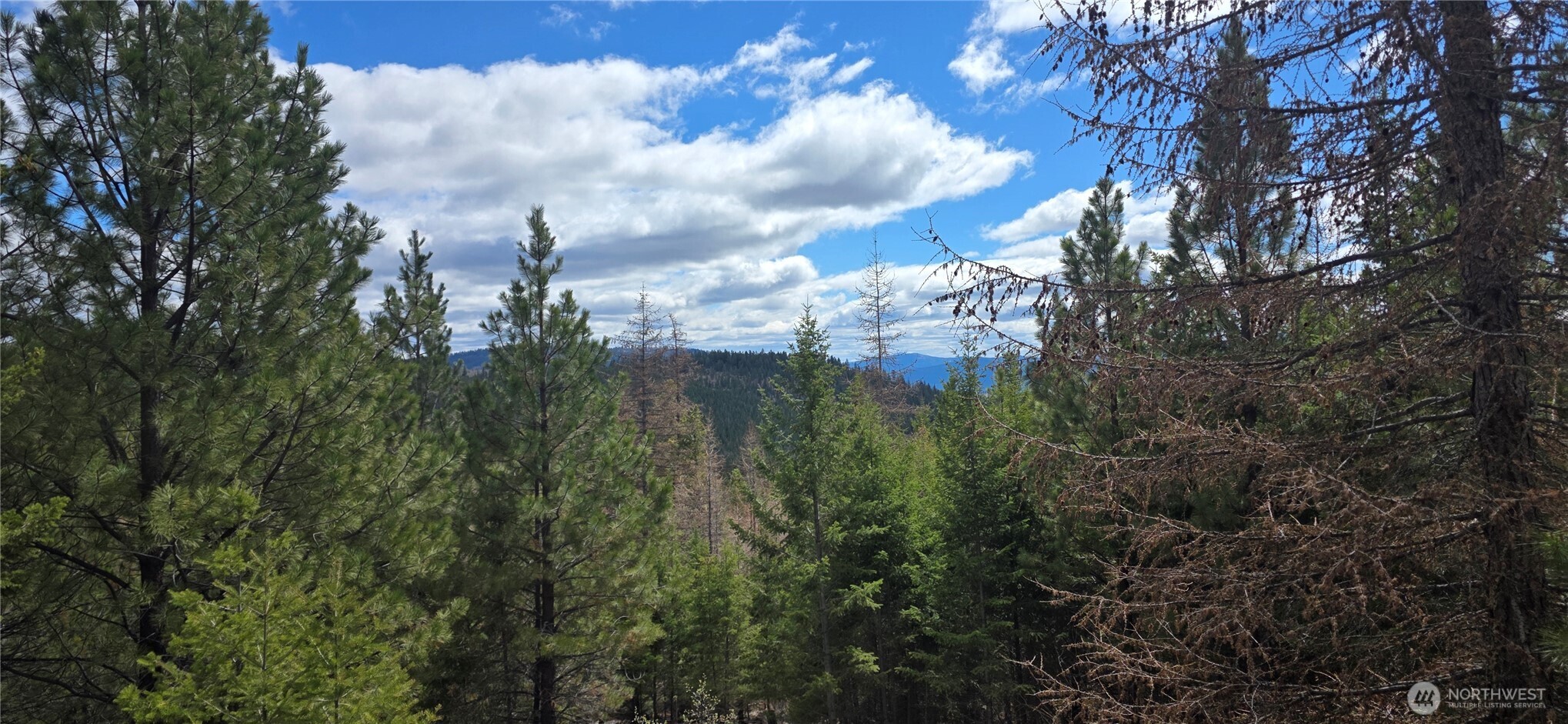 1111 TBD Bandtman Rd , Tonasket, WA 98844