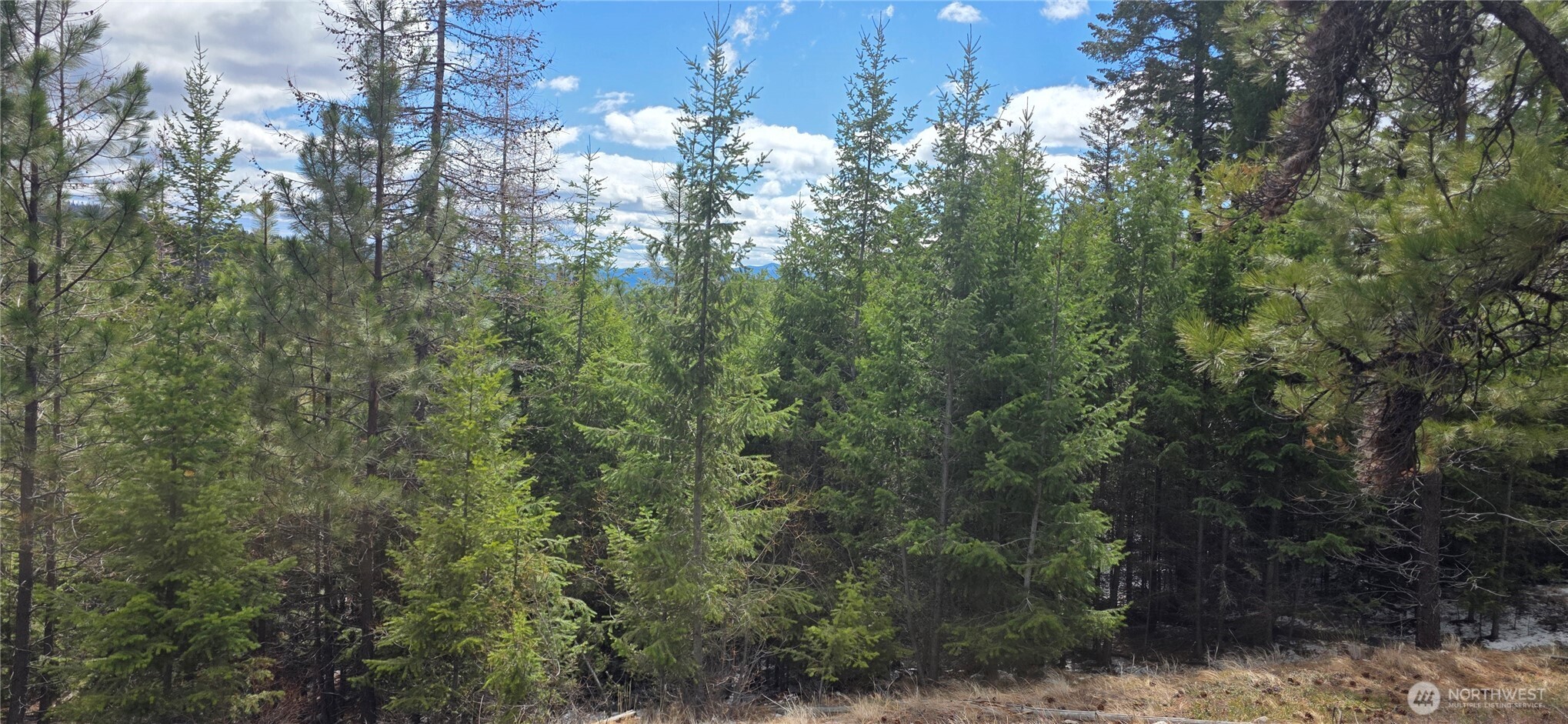 1111 TBD Bandtman Rd , Tonasket, WA 98844
