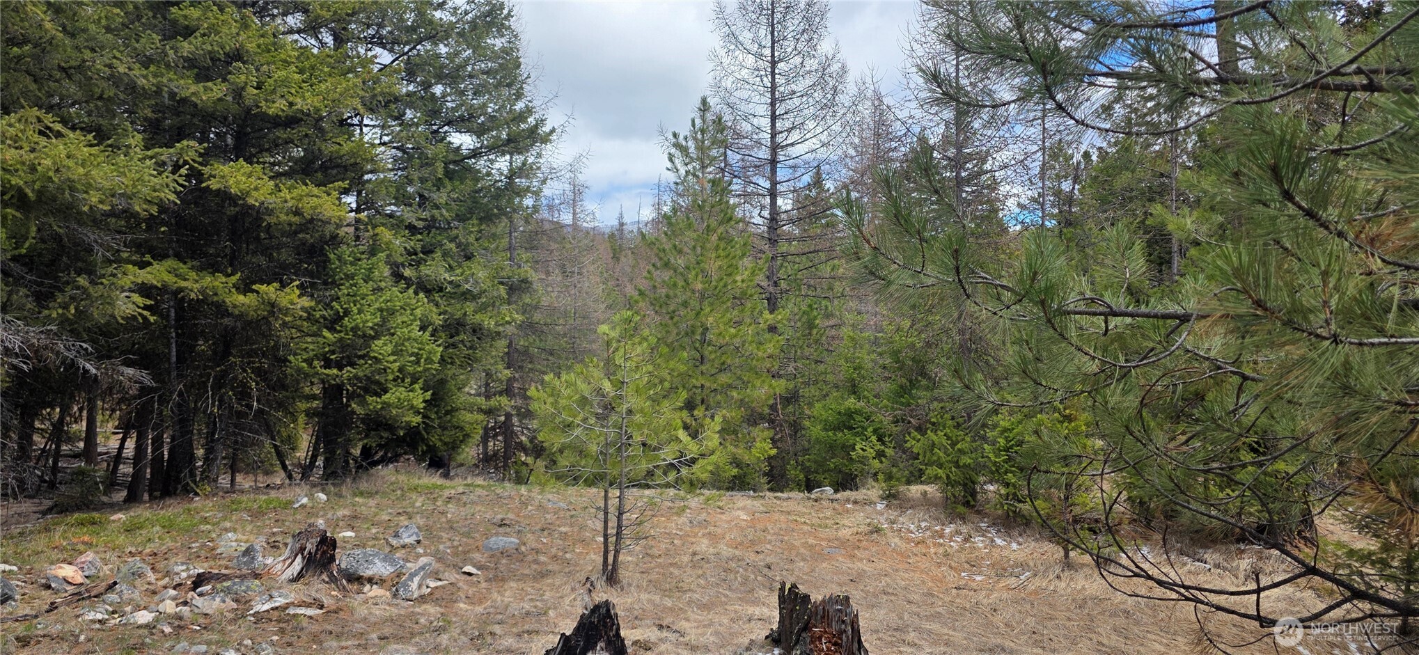 1111 TBD Bandtman Rd , Tonasket, WA 98844