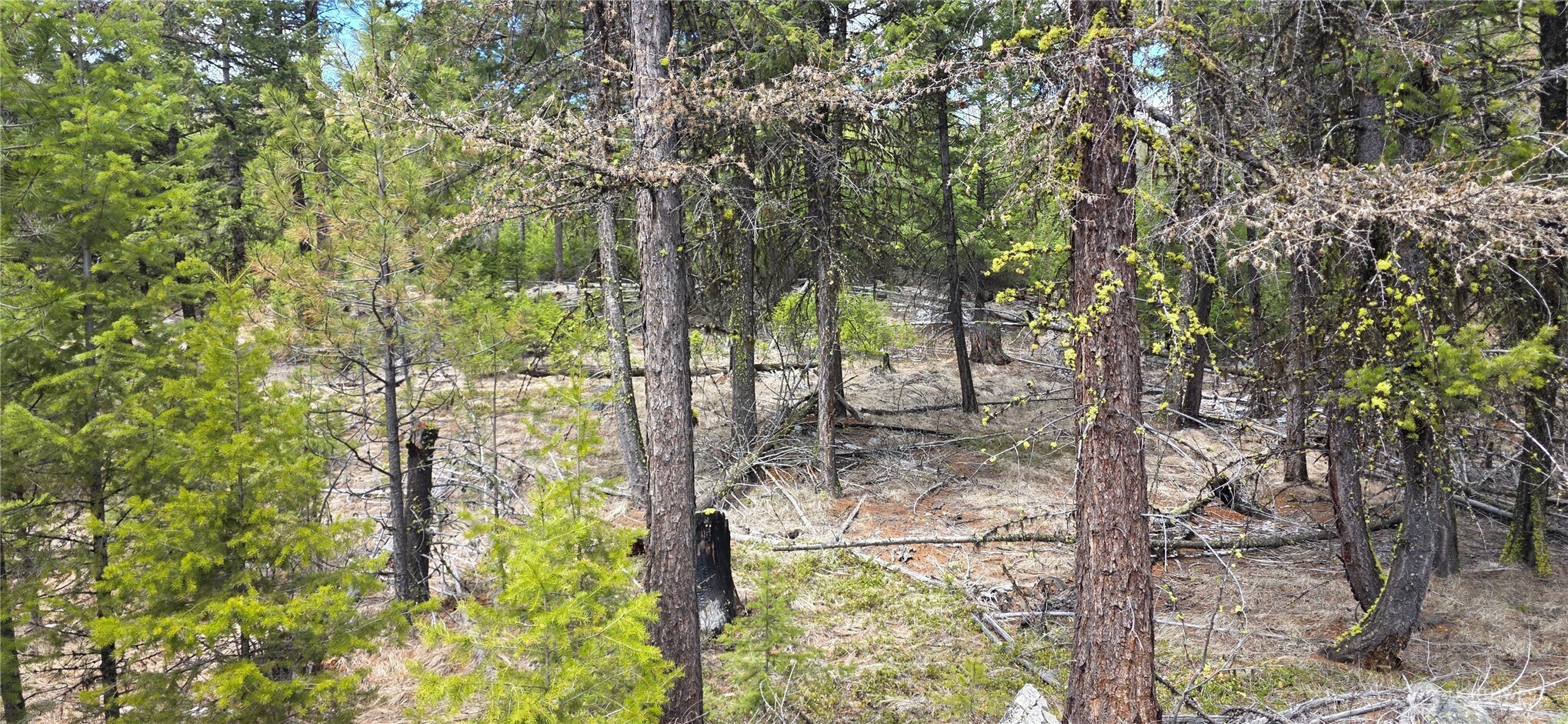 1111 TBD Bandtman Rd , Tonasket, WA 98844