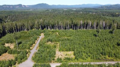 9999 King Johns-Lot 1 Raven SP Way , Forks, WA 98331 - Photo 3
