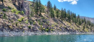 0 Lot 10 Omak Lake Road , Omak, WA 98841 - Photo 4