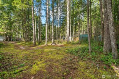 200 N Glenwood Road , Hoodsport, WA 98548 - Photo 8