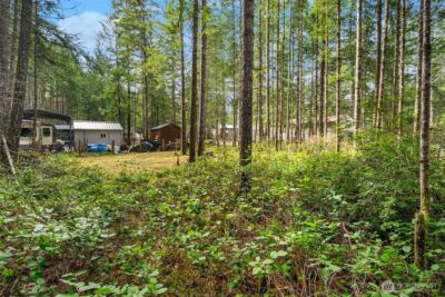 200 N Glenwood Road , Hoodsport, WA 98548 - Photo 9