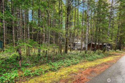 200 N Glenwood Road , Hoodsport, WA 98548 - Photo 10