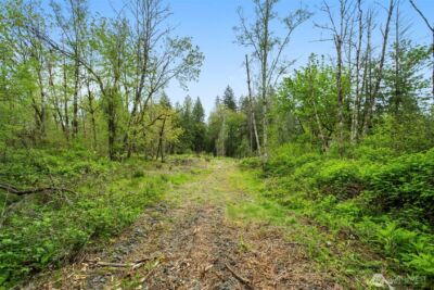 34403 NE Lewisville Highway , Yacolt, WA 98601 - Photo 2