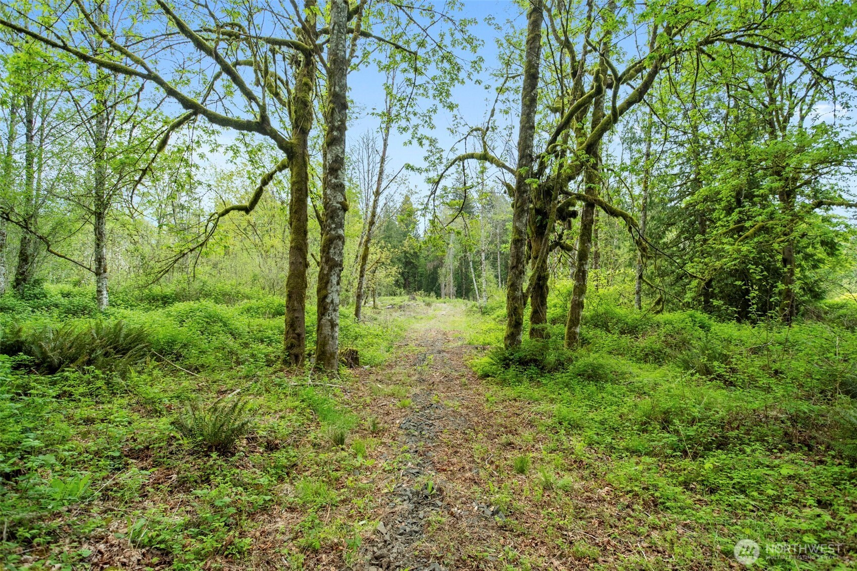 34403 NE Lewisville Highway , Yacolt, WA 98601