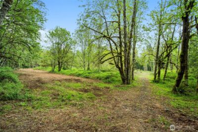 34403 NE Lewisville Highway , Yacolt, WA 98601 - Photo 4