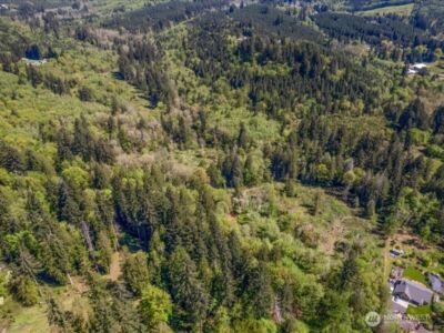 34403 NE Lewisville Highway , Yacolt, WA 98601 - Photo 8
