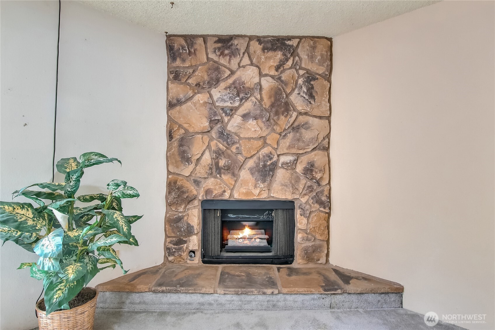 1040 S 320th Street #10D, Federal Way, WA 98003