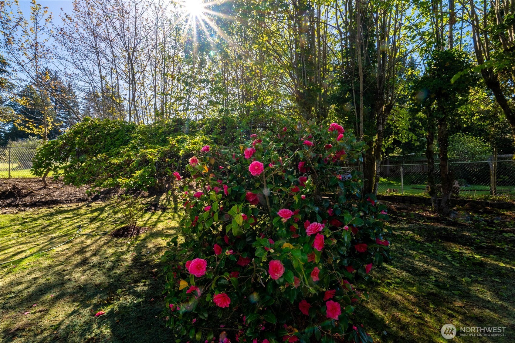 3002 Lakeway Drive , Bellingham, WA 98229