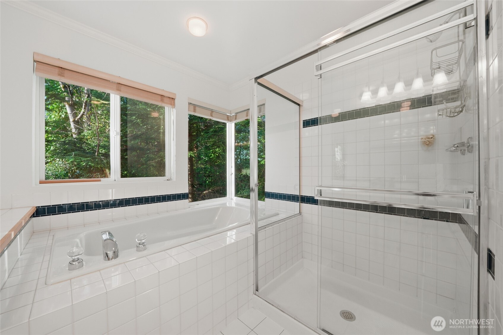4525 47th Avenue S, Seattle, WA 98118