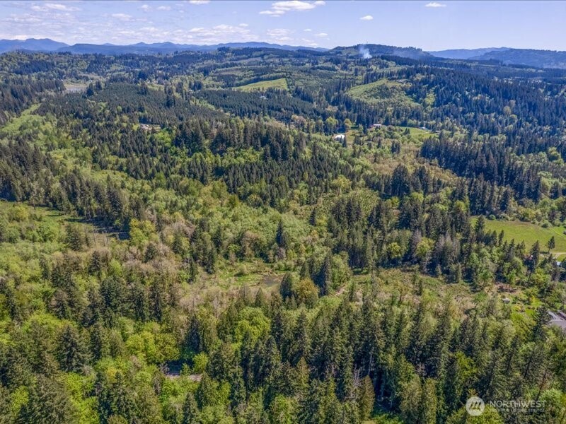 2 NE Lewisville Highway , Yacolt, WA 98675