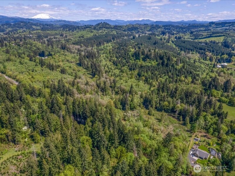 2 NE Lewisville Highway , Yacolt, WA 98675