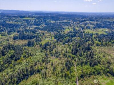2 NE Lewisville Highway , Yacolt, WA 98675 - Photo 25