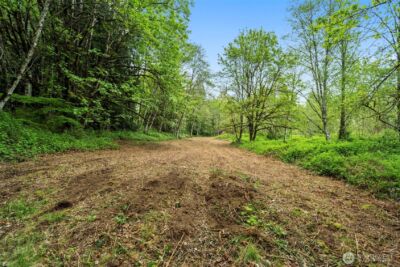 2 NE Lewisville Highway , Yacolt, WA 98675 - Photo 2