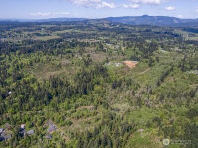 2 NE Lewisville Highway , Yacolt, WA 98675 - Photo 28