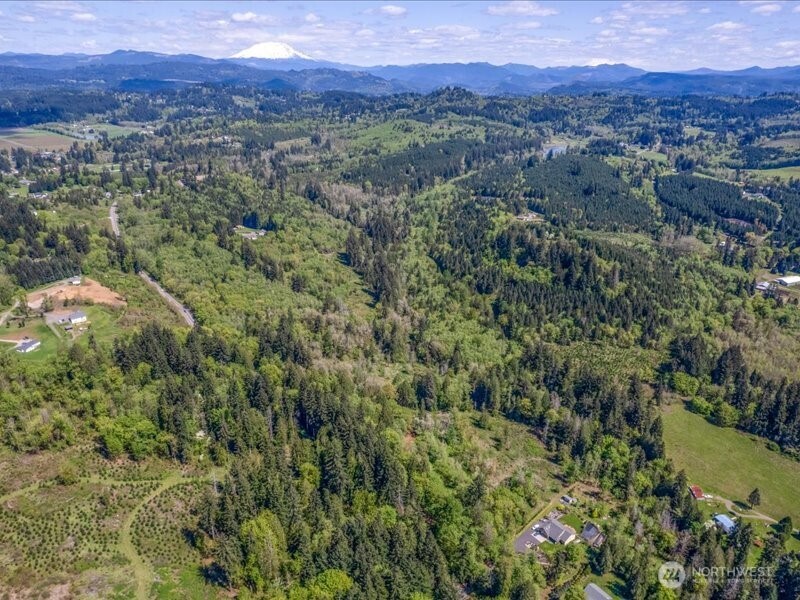 2 NE Lewisville Highway , Yacolt, WA 98675