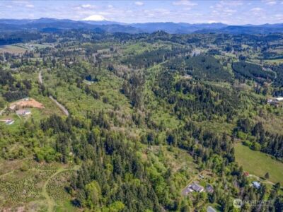2 NE Lewisville Highway , Yacolt, WA 98675 - Photo 30