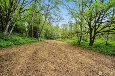 2 NE Lewisville Highway , Yacolt, WA 98675 - Photo 3