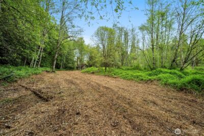 2 NE Lewisville Highway , Yacolt, WA 98675 - Photo 4