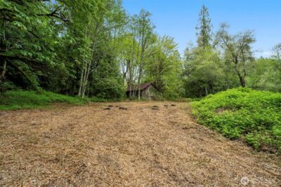 2 NE Lewisville Highway , Yacolt, WA 98675 - Photo 5