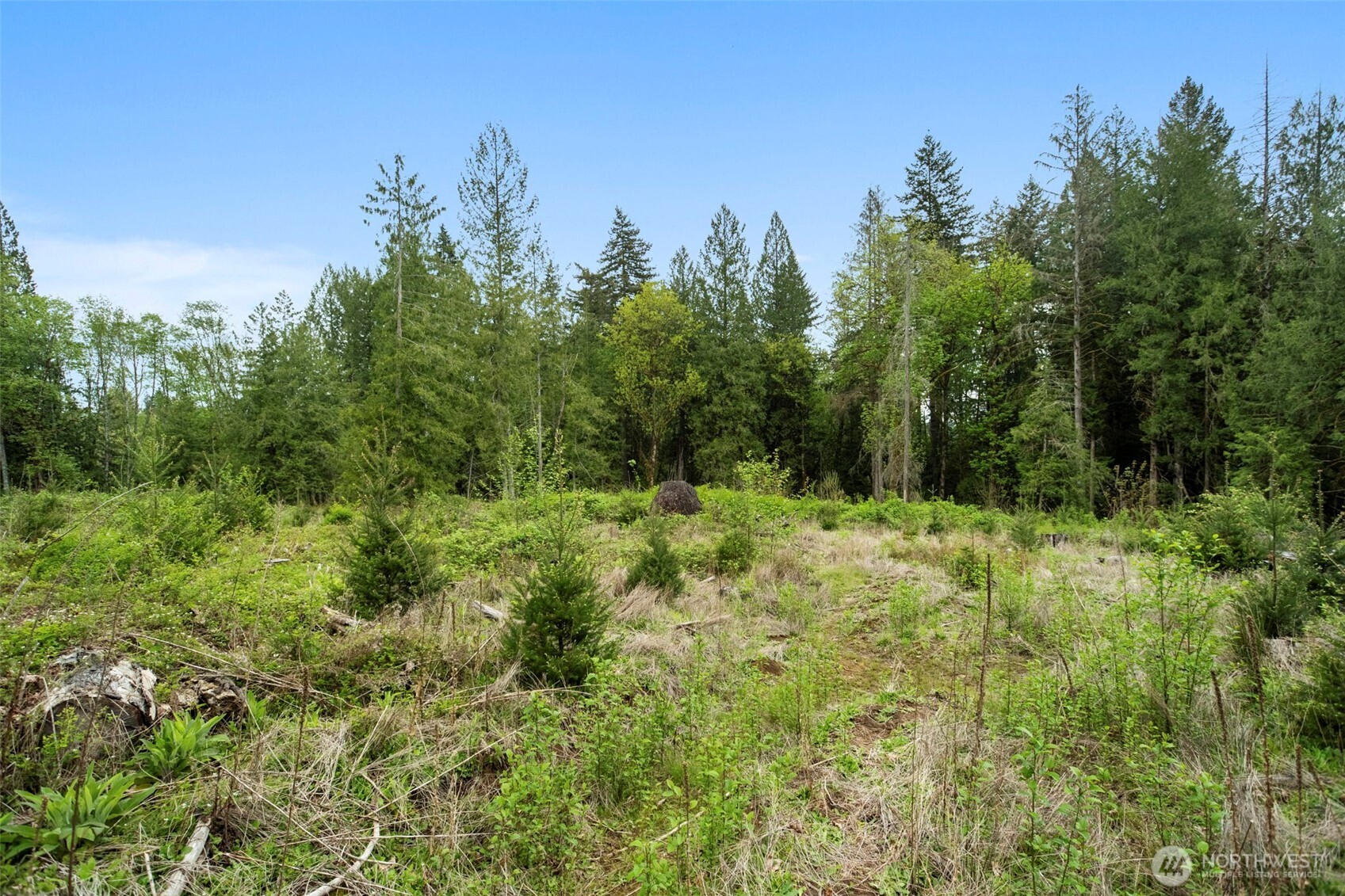 2 NE Lewisville Highway , Yacolt, WA 98675