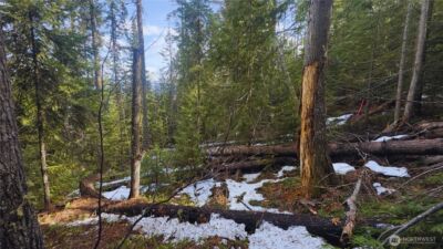 15839 Cedar Brae Road , Leavenworth, WA 98826