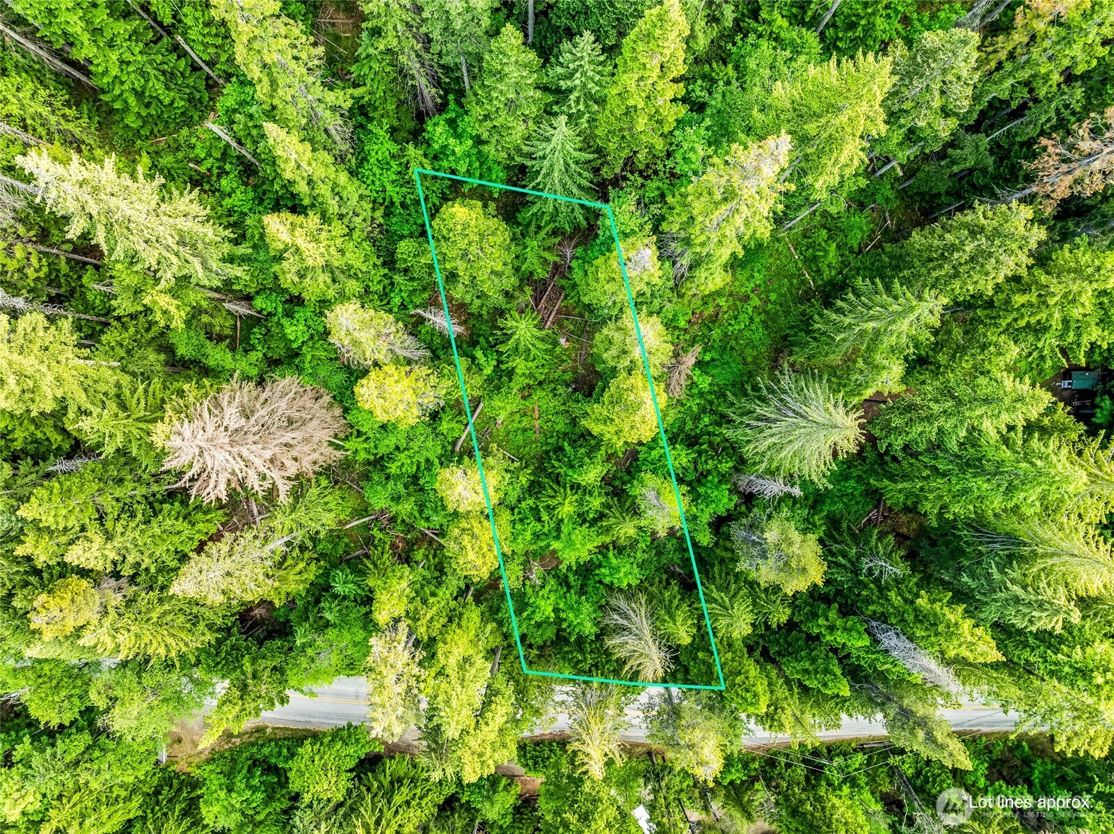 15839 Cedar Brae Road , Leavenworth, WA 98826