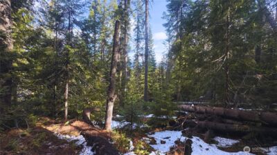 15839 Cedar Brae Road , Leavenworth, WA 98826 - Photo 2